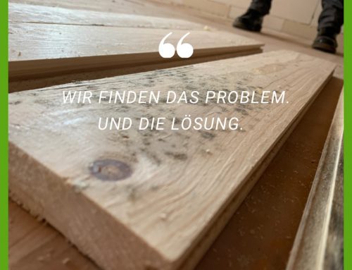 Schimmel Logbuch 9