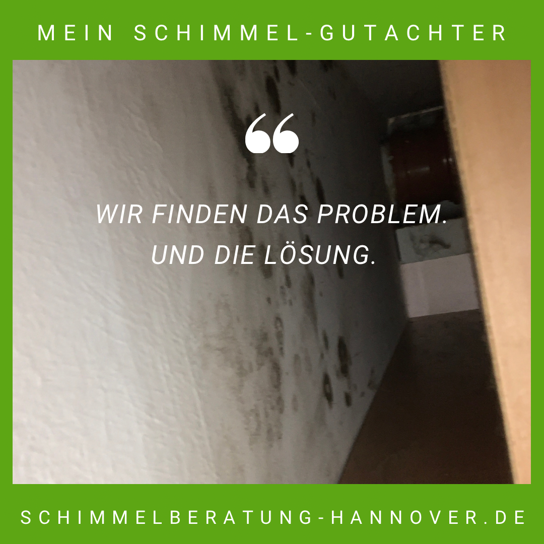 Schimmel in der Küche