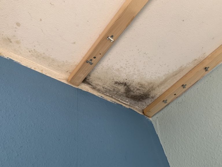 Schimmel an der Decke Wir finden die Ursache sachverständig
