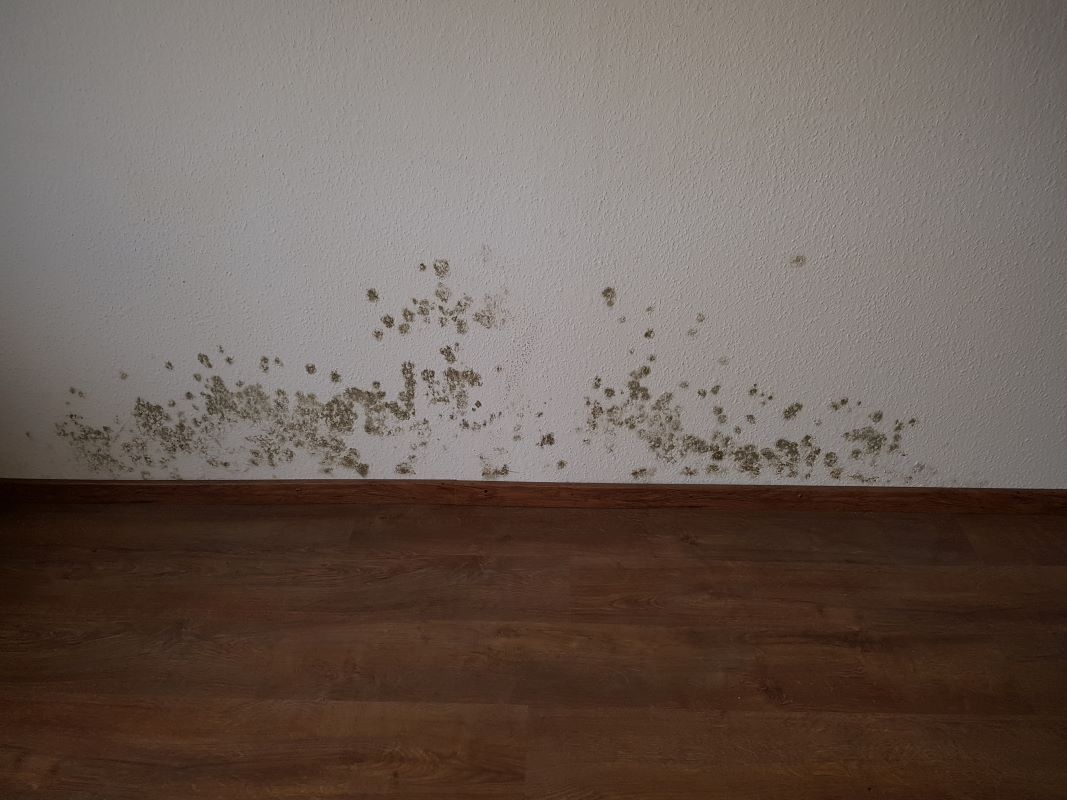Schimmel auf der Silikonfuge Schimmelberatung Hannover hilft